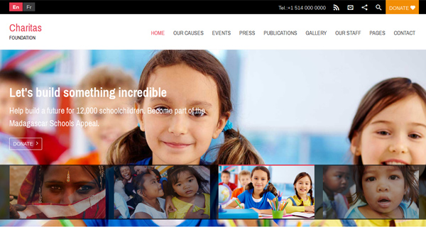 Charitas WordPress Theme