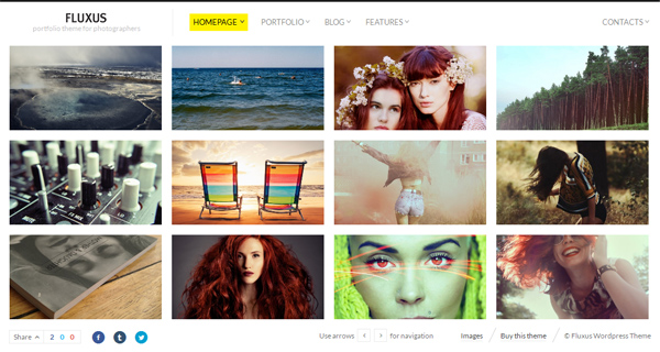 Fluxus WordPress Theme