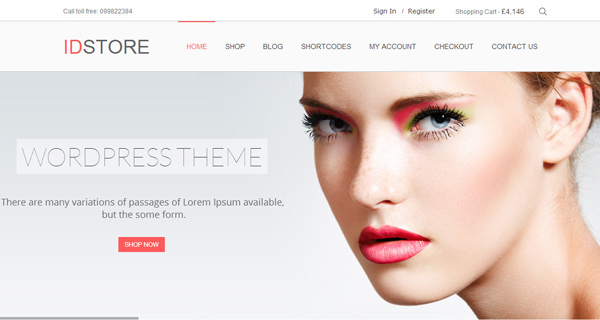 IDStore WordPress Theme