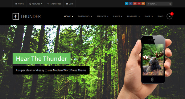 Thunder WordPress Theme