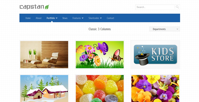 Capstan Business Premium - WordPress Theme