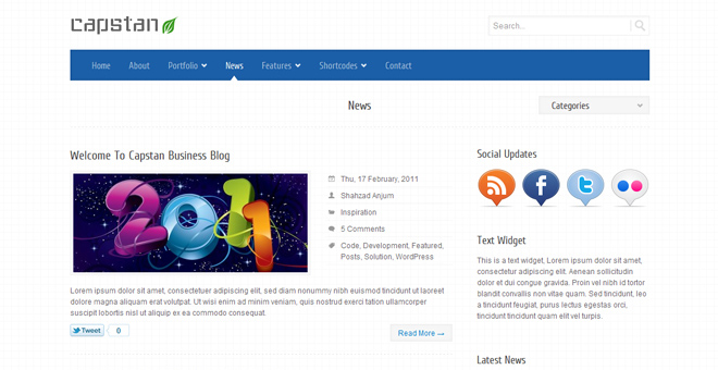 Capstan Business Premium - WordPress Theme