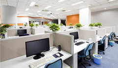 What is Our Vision ?