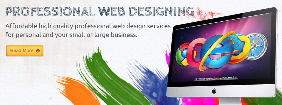 Professional Web Designing